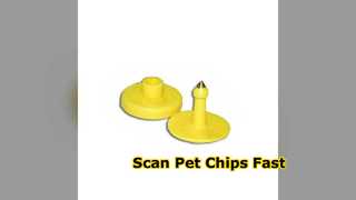 Pet Microchip Scanner Reads Animal Tags