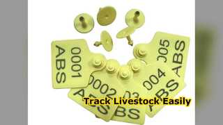 Livestock RFID Ear Tags for Cattle Sheep