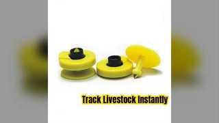 RFID Livestock Ear Tags Animal ID Tracking
